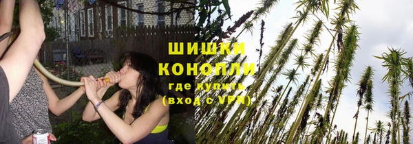 бошки Алексин