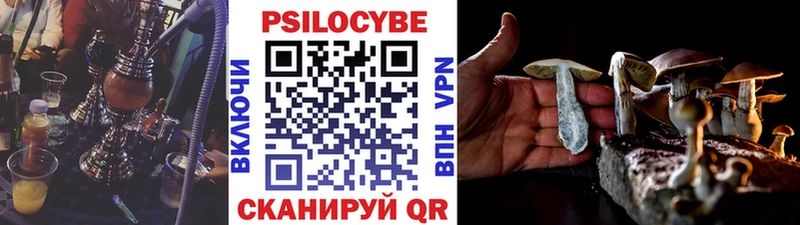 маркетплейс Telegram  Новоузенск  Галлюциногенные грибы мицелий 